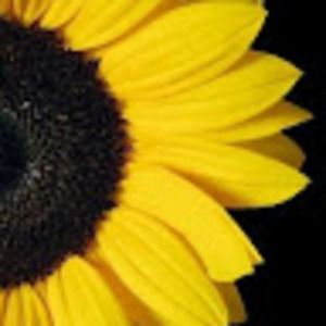 Meet your Posher, Igotsunshine